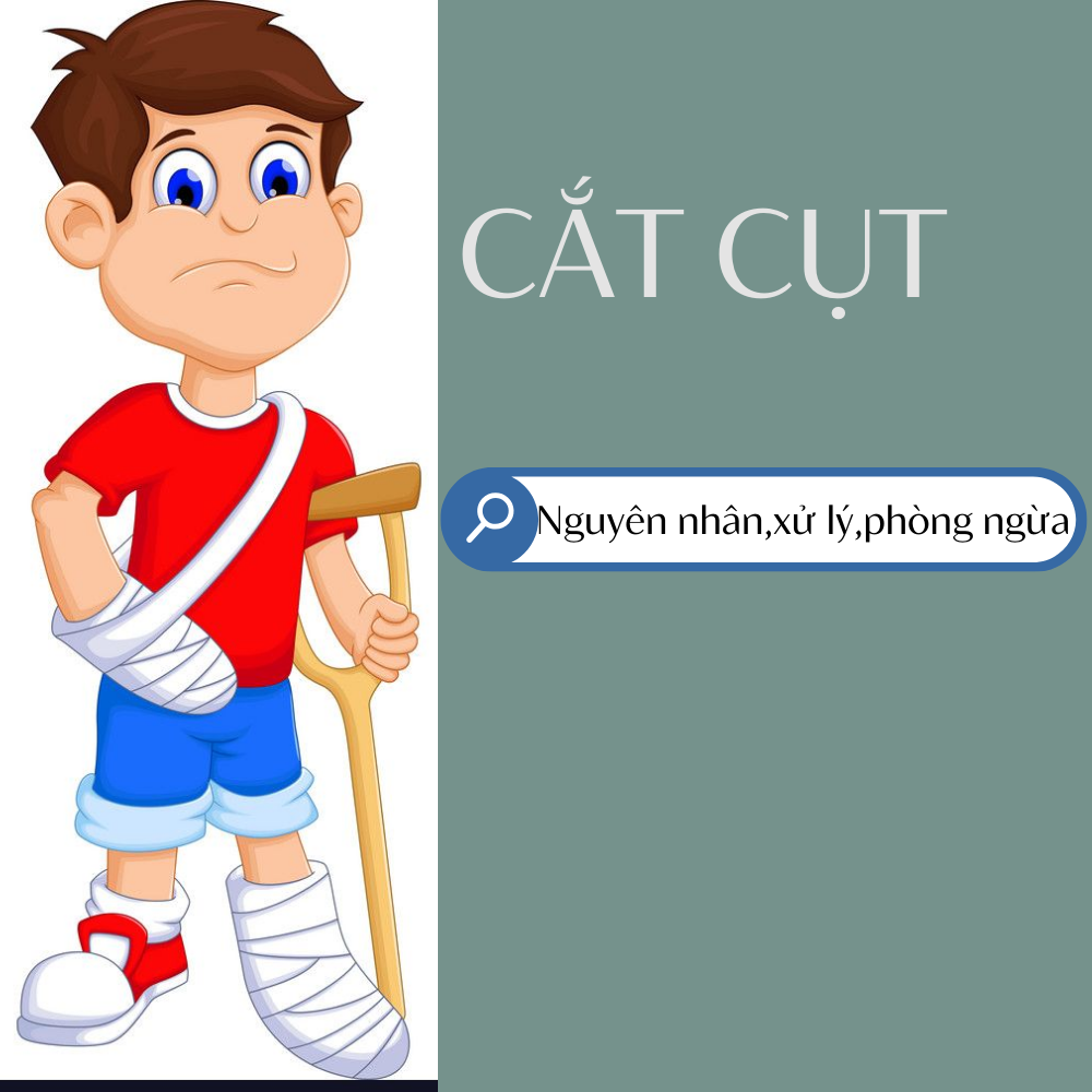 Những Điều Cần Biết Hỗ Trợ Khi Cắt Cụt